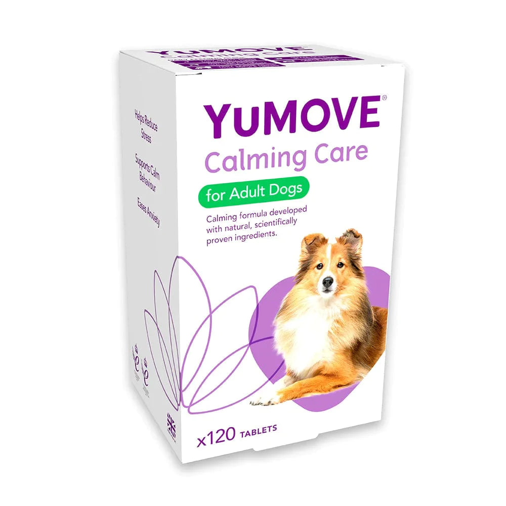 Calming Care for Adult Dogs