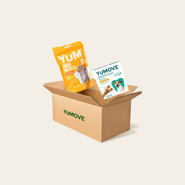 Puppy Bundle Lite Bundle