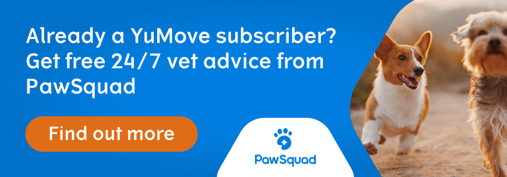 Already a Yumove subscriber? Get free 24/7 vet advice from PawSquad
