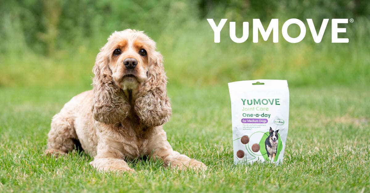 YuMOVE | Pet Supplements Developed with Vets