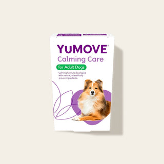 Calming Care for Adult Dogs Calming