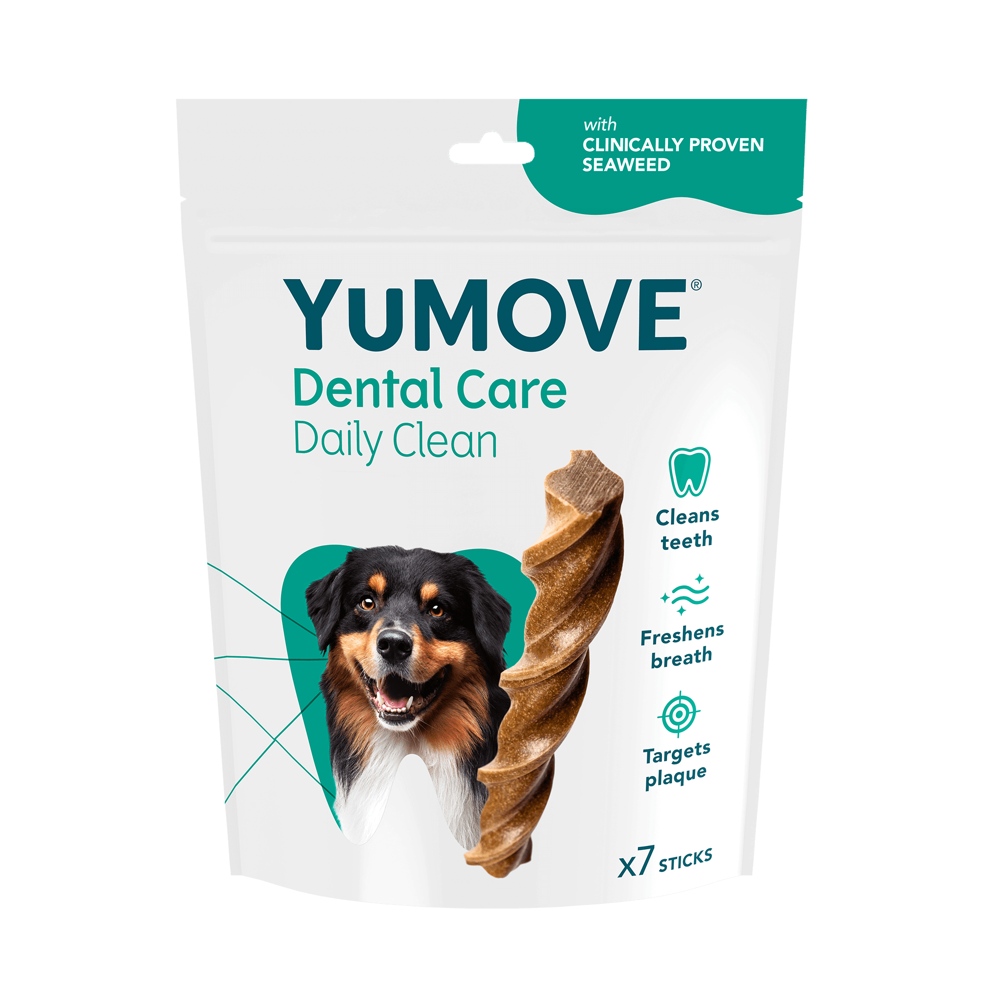 Dental dog sticks online