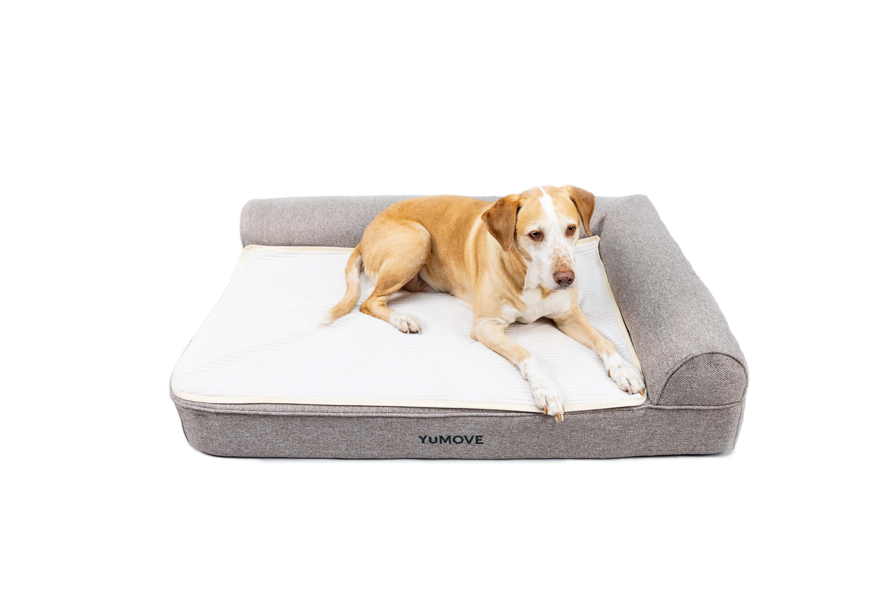 Orthopaedic Pet Bed for Cats & Dogs