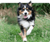 New to YuMOVE?