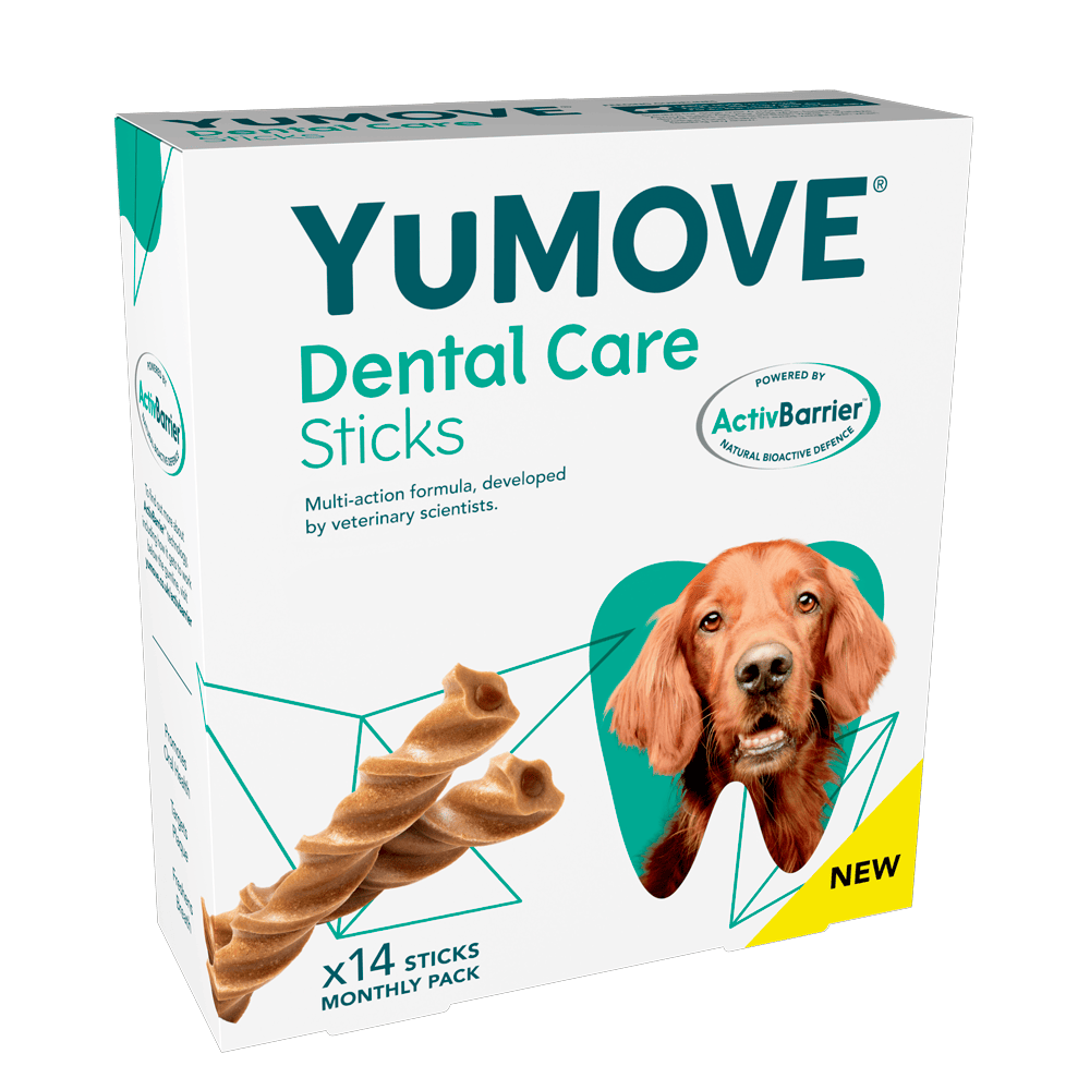 Healthy dental deals sticks for dogs