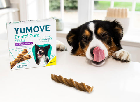 Introducing: YuMOVE Dental Care Sticks