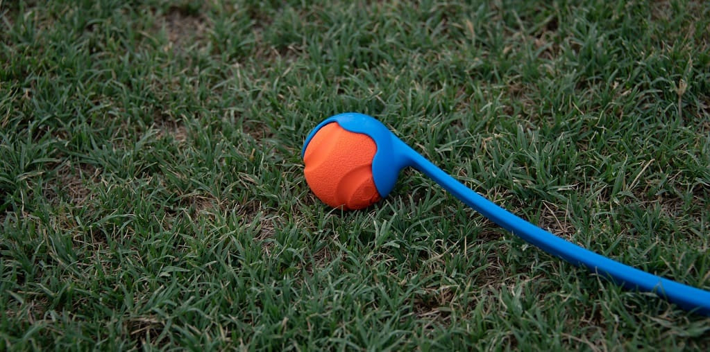 A blue ball thrower