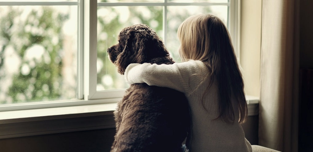 Girl looking out the window with her dog