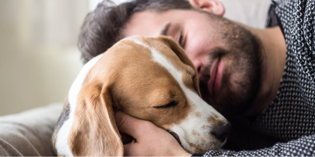 Puppy Love: Combat Pet Loneliness This Valentine's Day