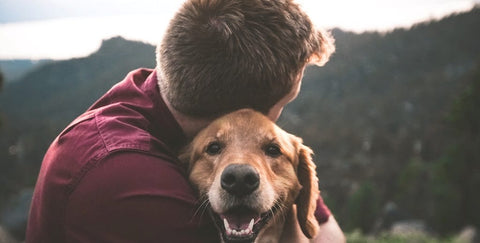 Man hugging his retriever