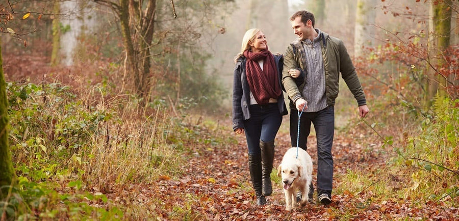 National Walk Your Dog Week | YuMOVE