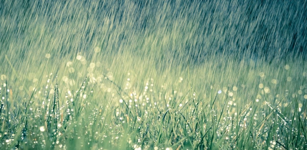 rain storm on grass