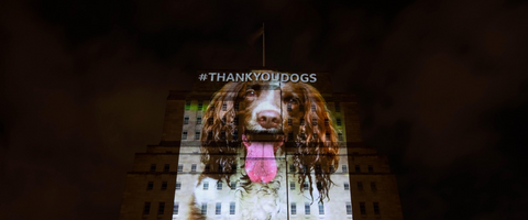 WE’VE TRANSFORMED LANDMARKS INTO LANDBARKS TO SAY #ThankYouDogs