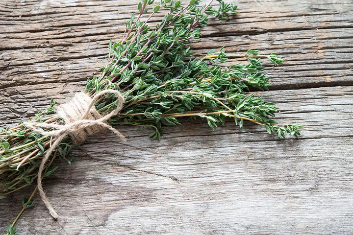 Thyme for dogs