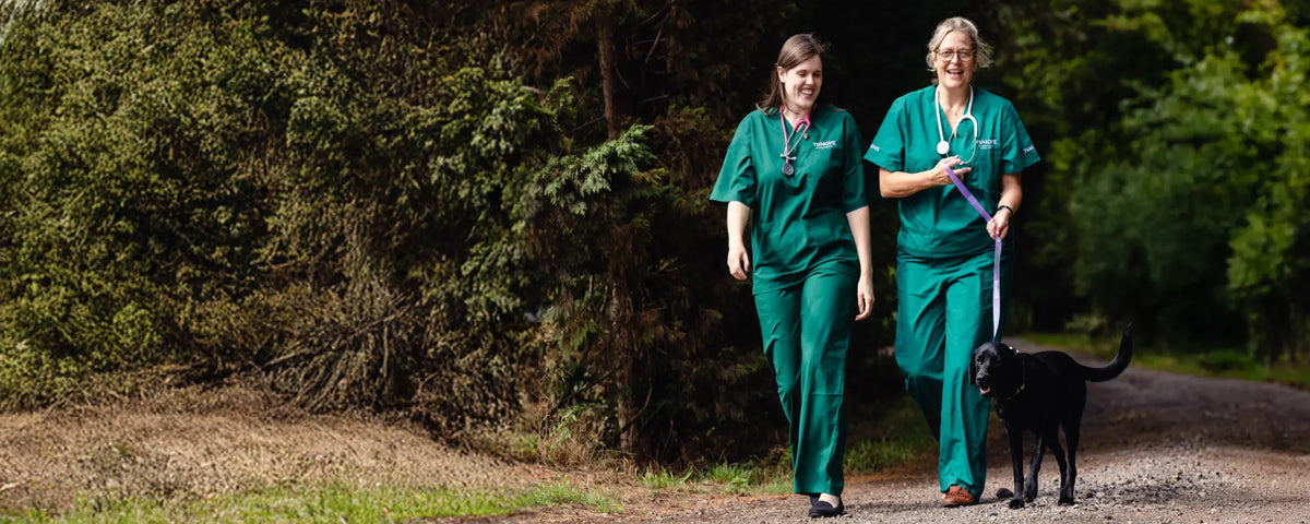 What are the most common (and surprising) questions dog owners ask?