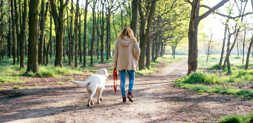 Woman walking dog in forest