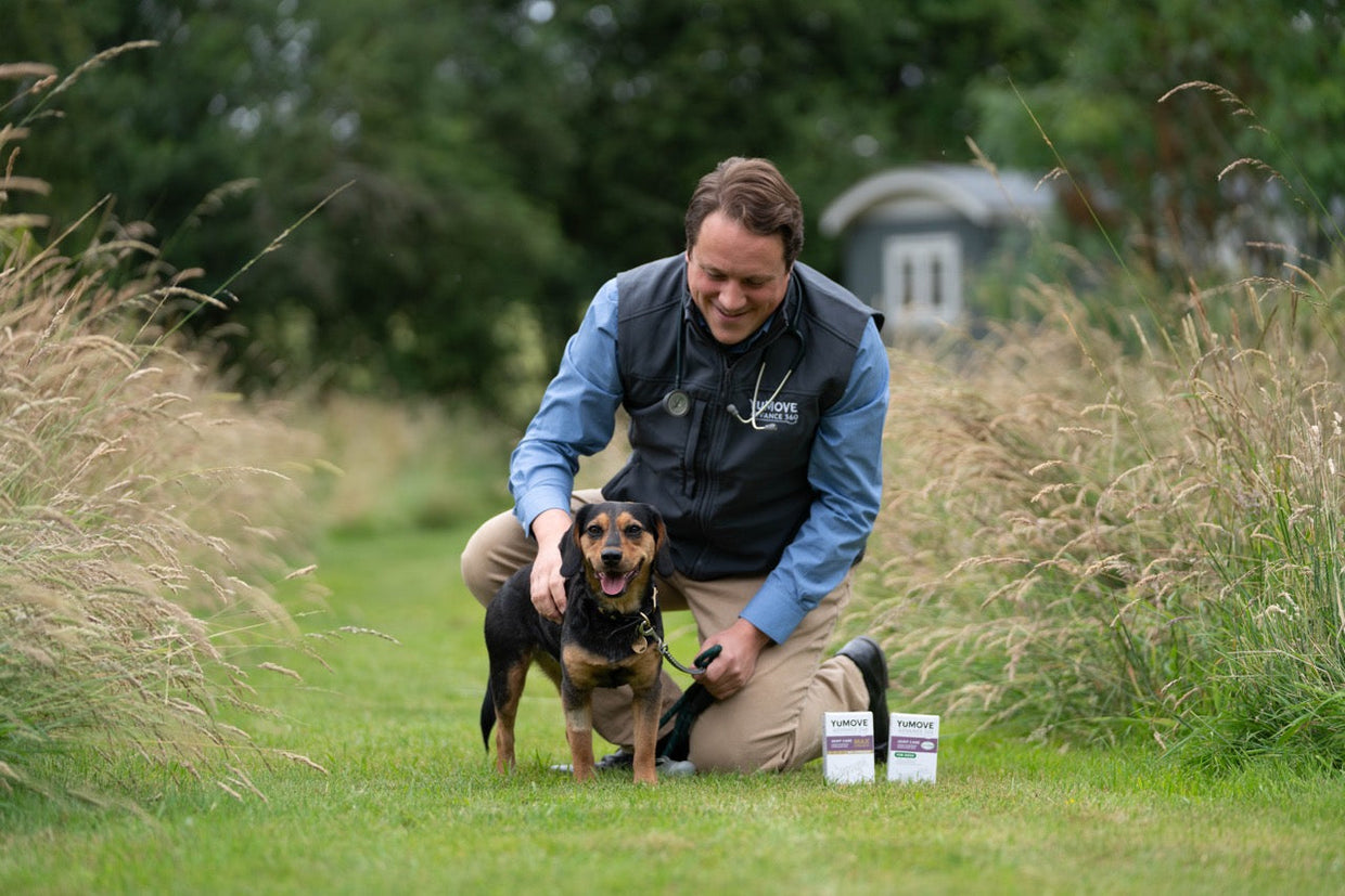 Managing your pet's mobility – multimodal plans