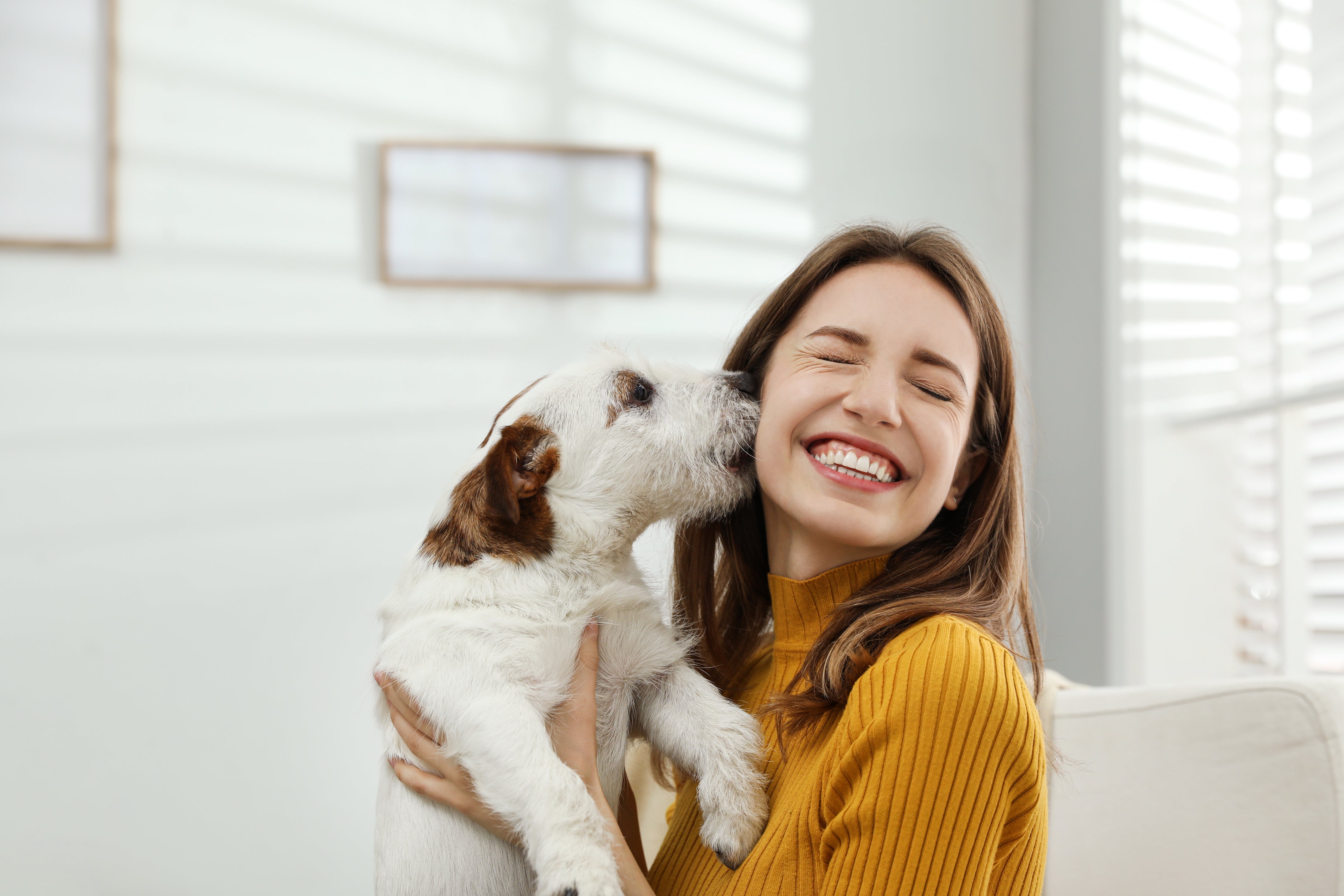Dog and woman happy