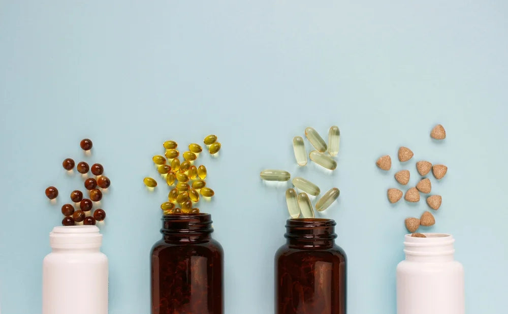 Best probiotics for dogs: Comparing pastes, powders, treats and more