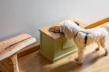 Dog eating from elevated food bowl