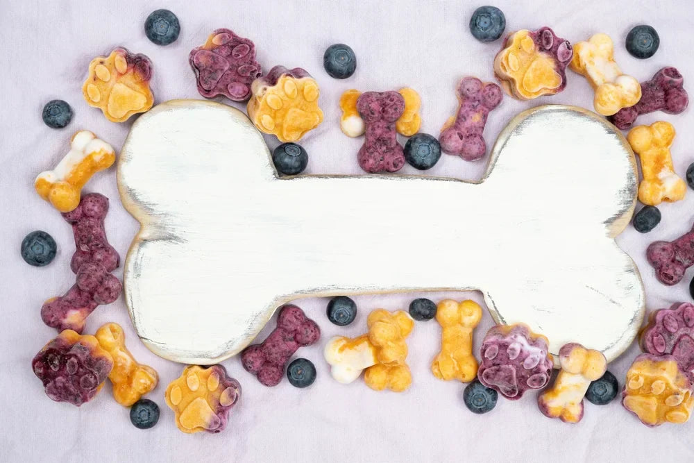 5 frozen dog treat ideas for keeping cool this summer