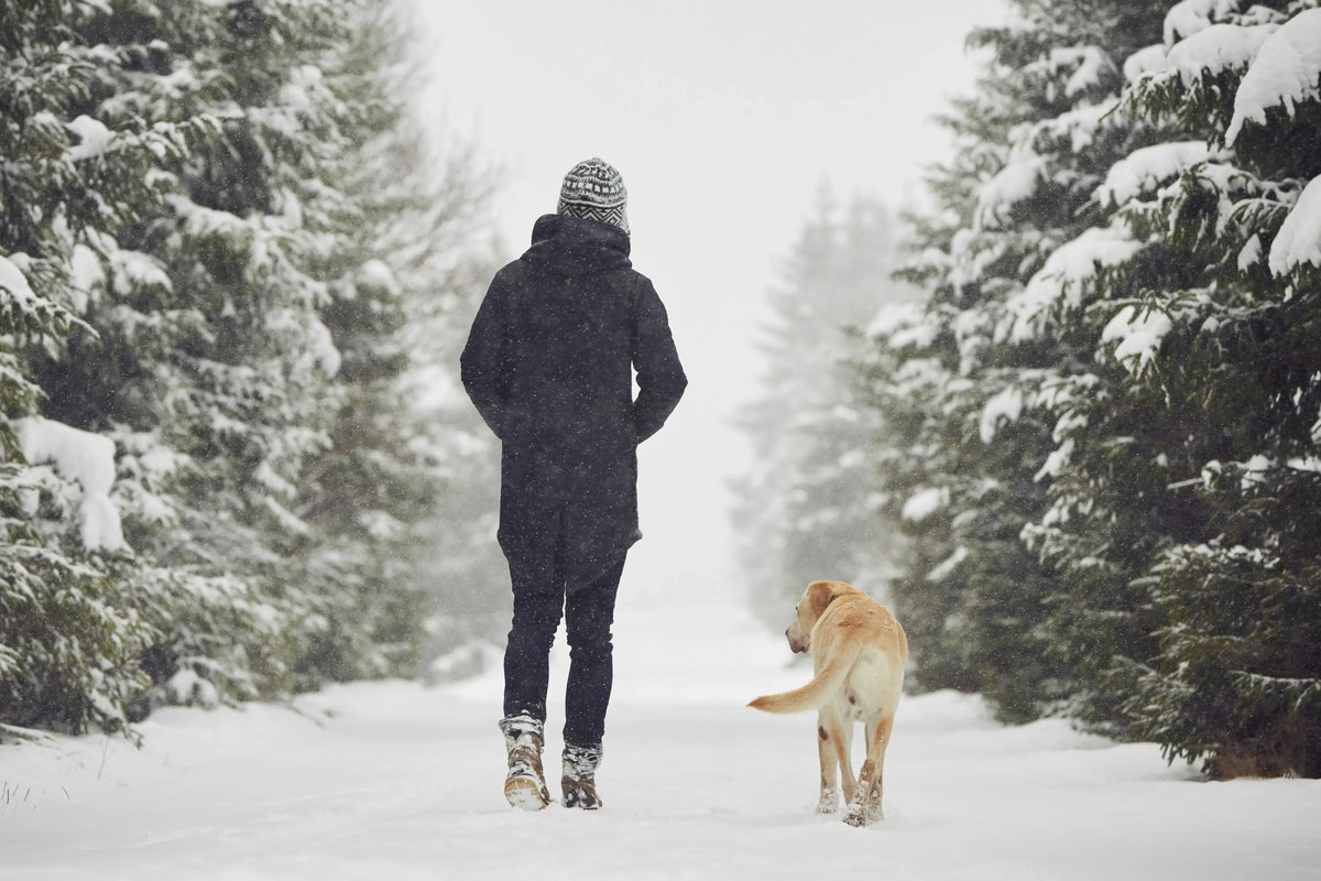 Does cold weather affect your dog’s joints?