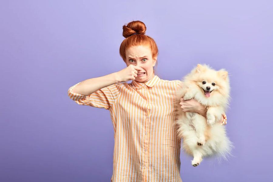 8 signs your dog could benefit from probiotics