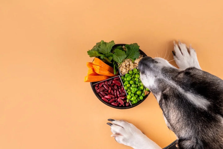 How much fibre do dogs need?