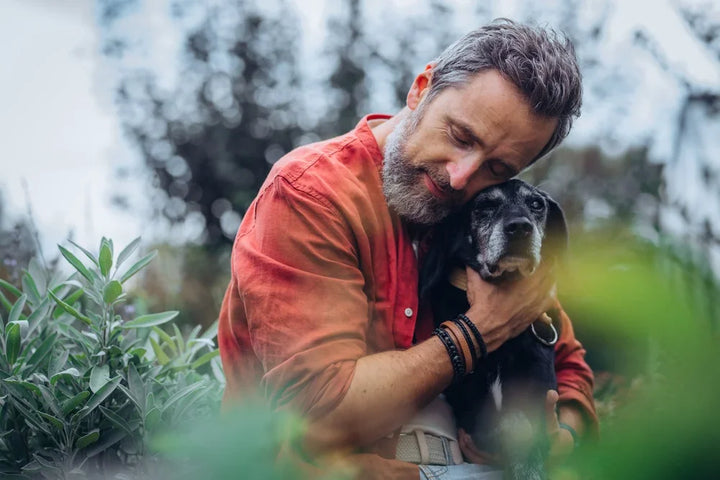 A complete guide to senior dog health: Symptoms, signs and what they mean