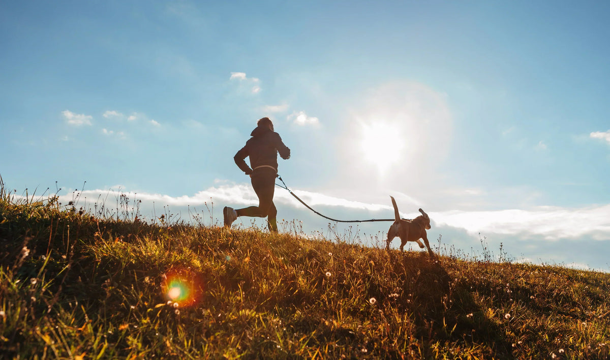 God Running Dogs Running with your dog: How to start safely | YuMOVE