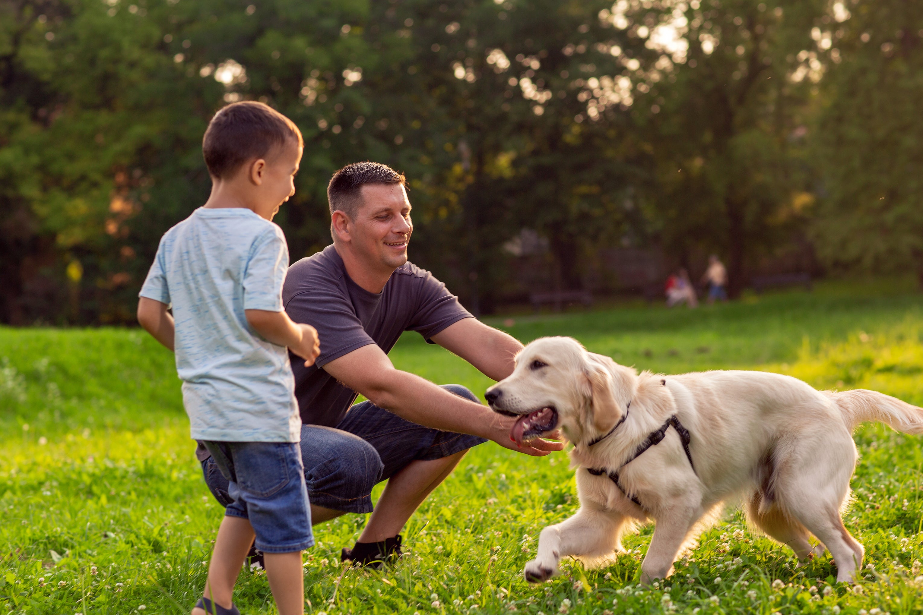 5 ways for dog dads to celebrate Father’s Day | YuMOVE