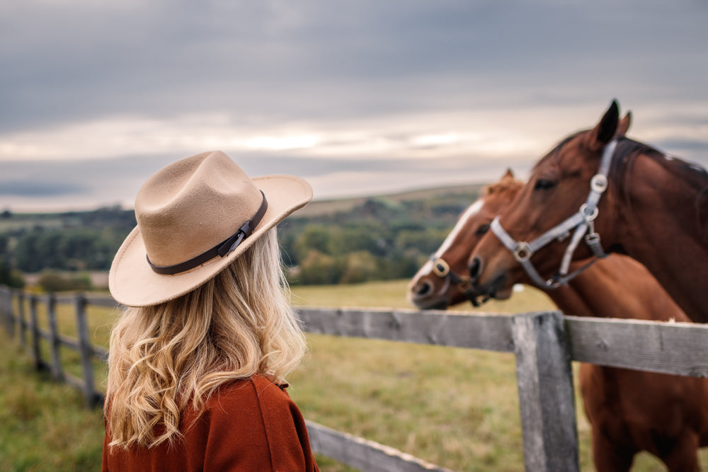 Woman looking at horses in field