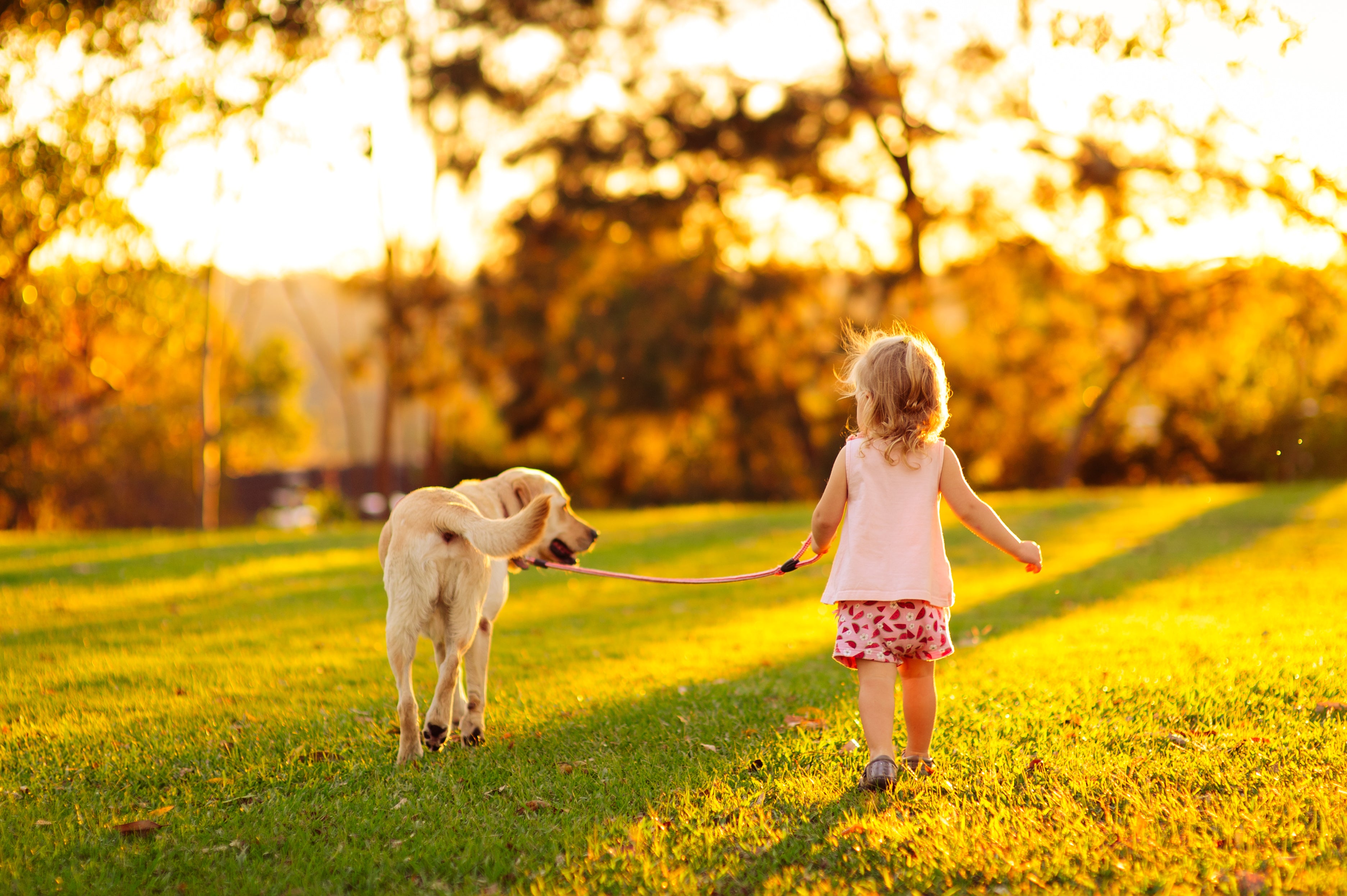 child and dog going on a walk