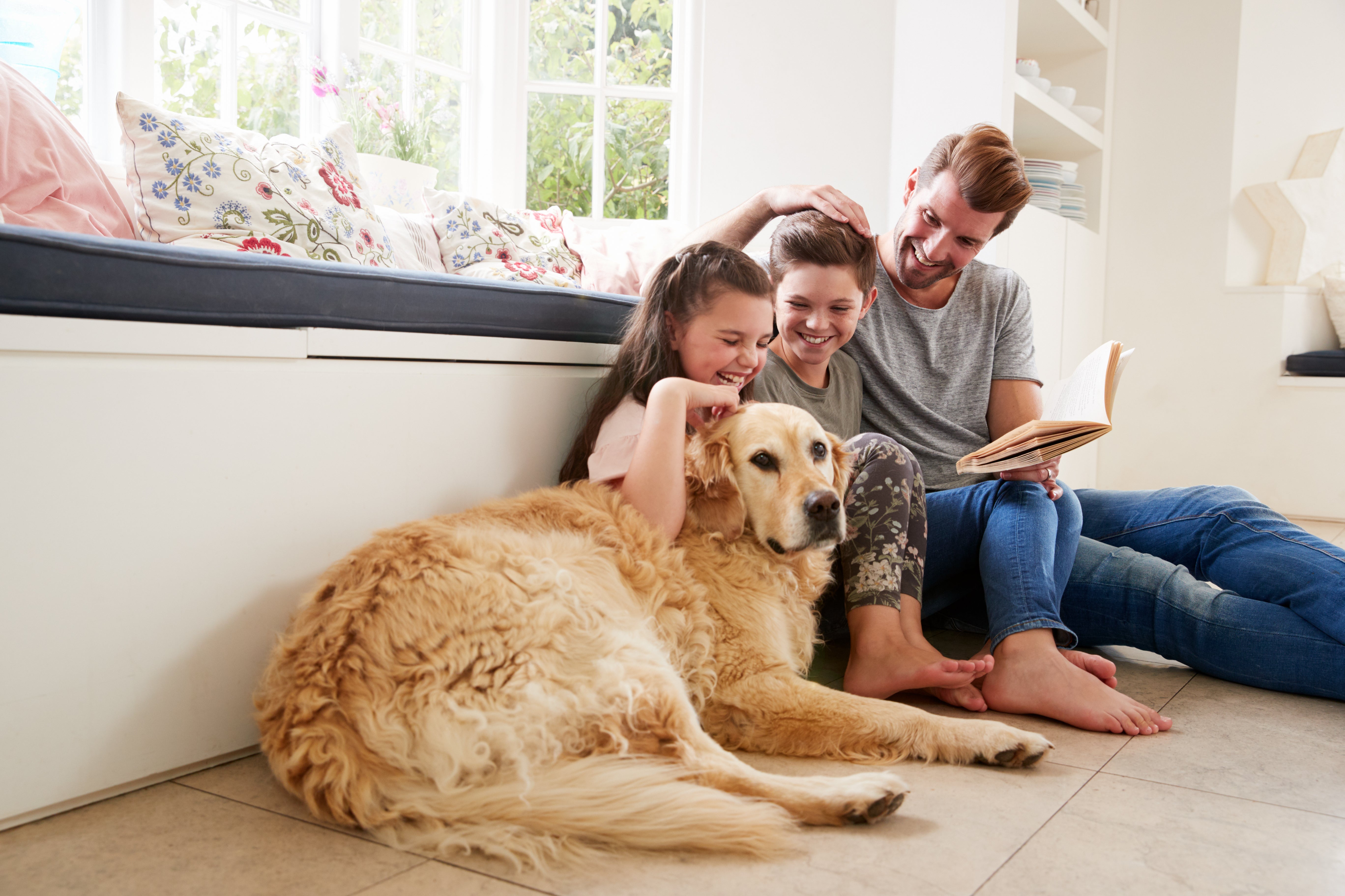 Older dog relaxes with happy family