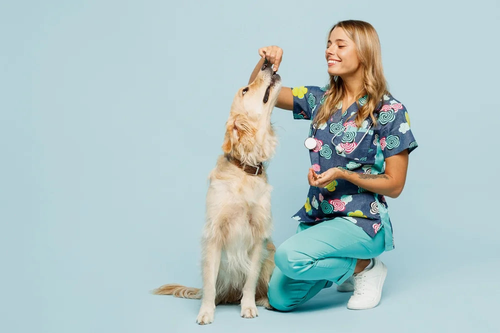When do puppies need worming? A vet's guide