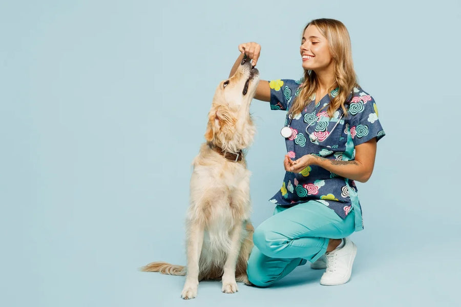 Vet worming a puppy