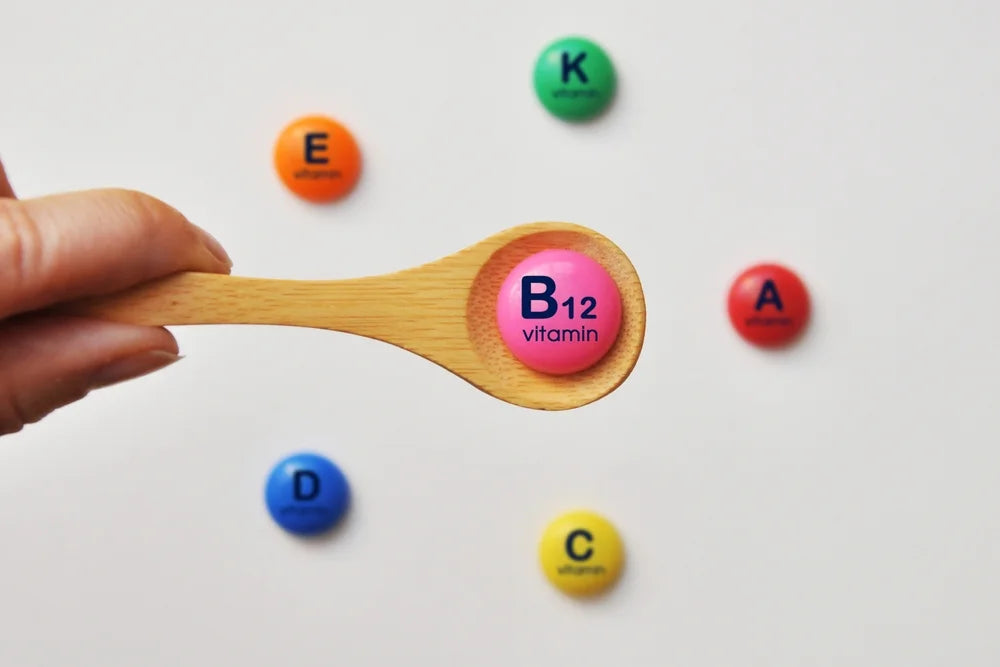 Vitamin B for Dogs: Benefits for your pooch