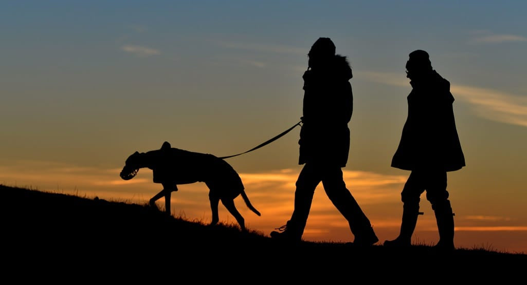 Couple walking dog at dusk