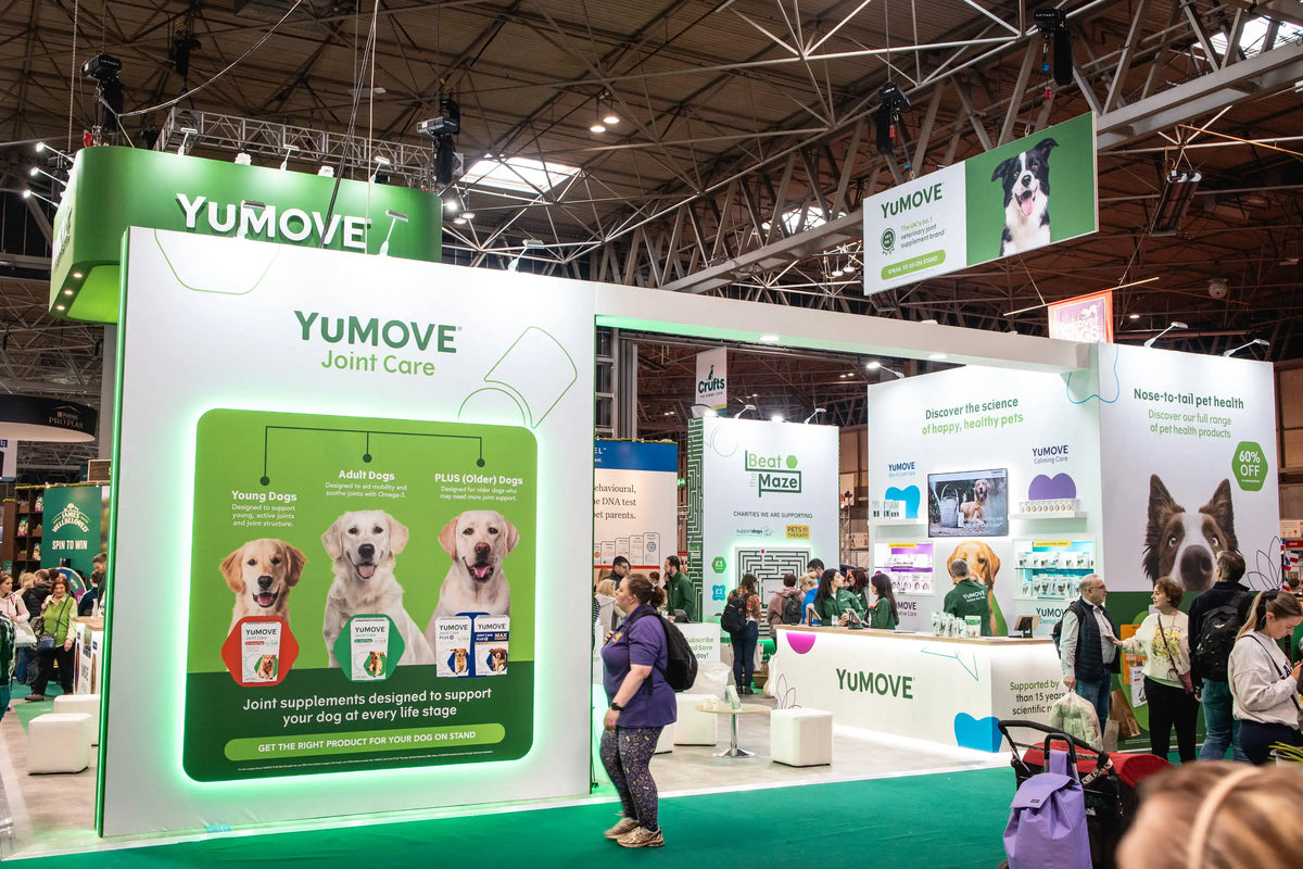 Guide to Crufts: What is Crufts & what happens there
