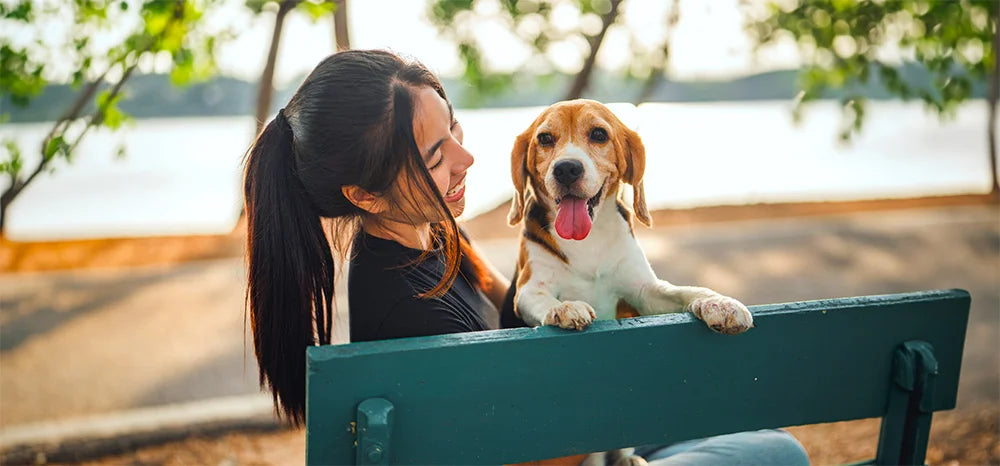 lady on bench with dog