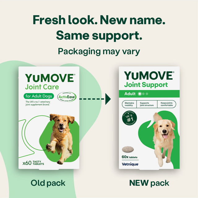 Joint Care for Adult Dogs Joints4