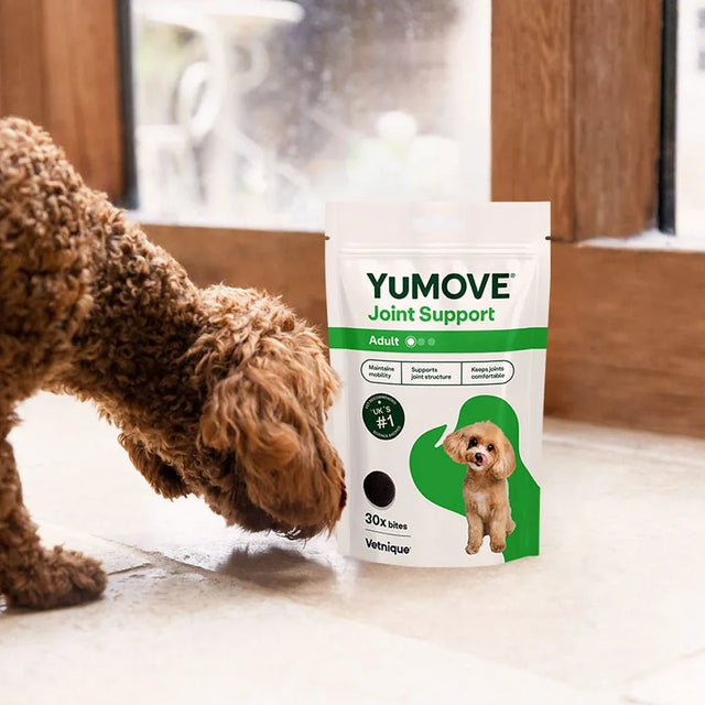 Joint Care One-a-day for Dogs Joints2