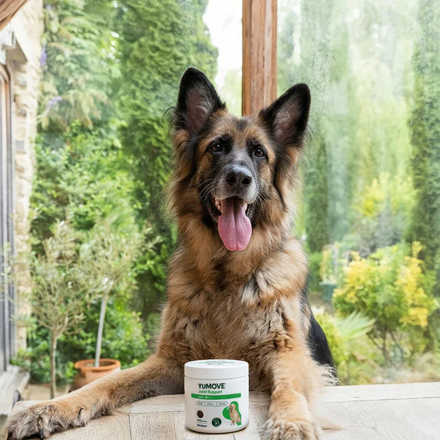 Joint Care Daily Bites for Adult Dogs Joints 150 soft bites2