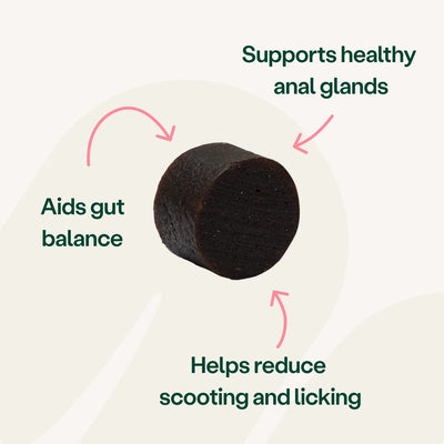 Digestive Support Anal Gland Health Bites for Dogs Digestive Health 2