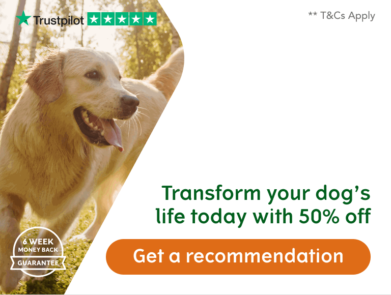 Transform your dog's life today with 50% off