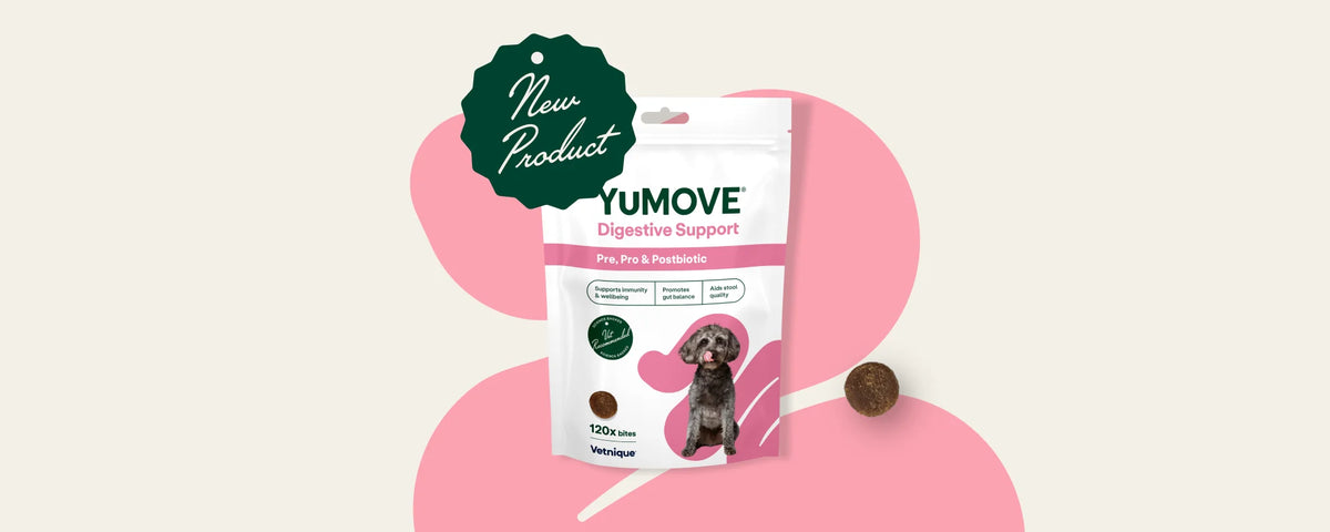 Introducing Pre, Pro &amp; Postbiotic Bites