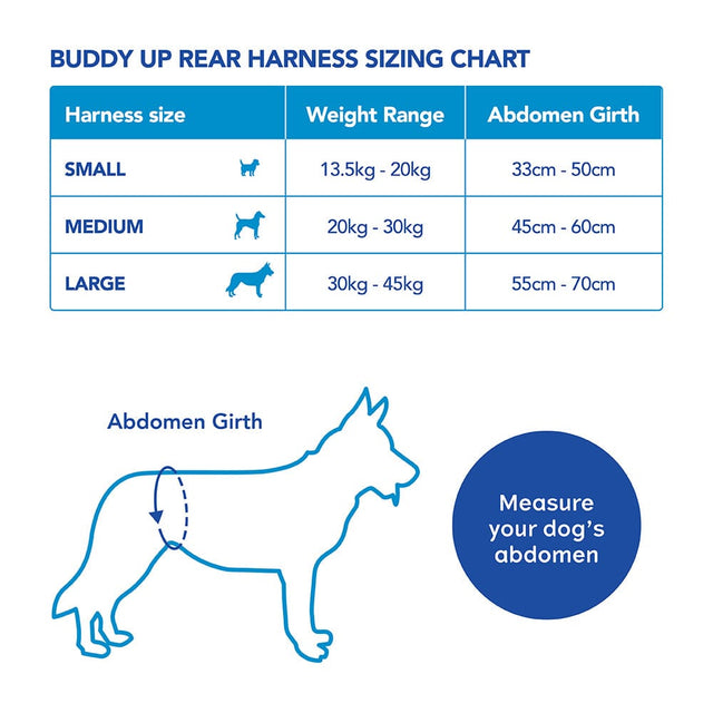 Buddy Up™️ Rear Harness4
