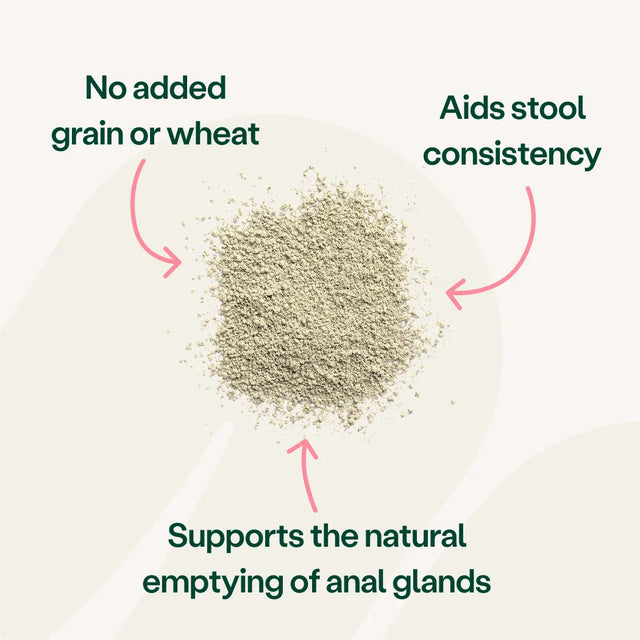 Digestive Care Probiotic & Fibre for Dogs Digestive Health2