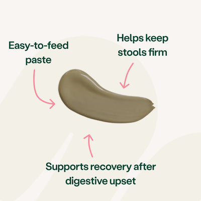 Digestive Support Rapid Paste for Dogs & Cats Digestive Health 2