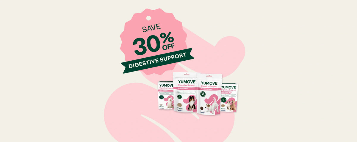 30% off 
Digestive Support